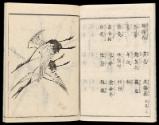 Volume I, Page 6