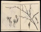 Volume I, Page 7