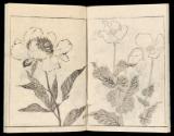 Volume I, Page 9