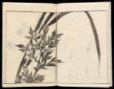 Volume I, Page 15