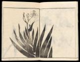 Volume II, Page 5