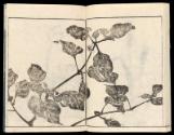 Volume II, Page 13