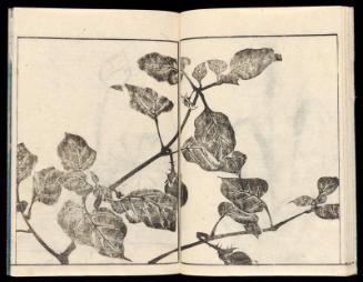 Volume II, Page 13