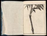 Volume II, Page 19