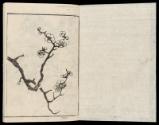 Volume III, Page 1