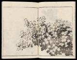 Volume III, Page 5