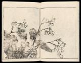 Volume III, Page 6