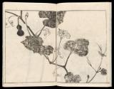 Volume III, Page 7