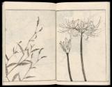 Volume III, Page 8