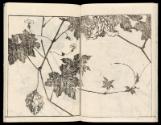 Volume III, Page 9
