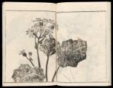 Volume III, Page 11