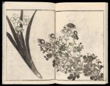 Volume III, Page 19
