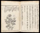 Volume I, Page 2