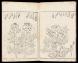 Volume I, Page 4