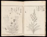 Volume I, Page 7