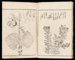 Volume I, Page 8