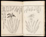 Volume I, Page 11