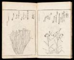 Volume I, Page 13