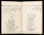 Volume I, Page 15
