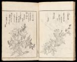 Volume I, Page 18