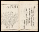 Volume II, Page 2