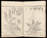 Volume II, Page 6