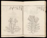 Volume II, Page 10