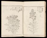 Volume II, Page 15