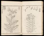 Volume II, Page 16