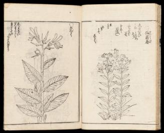 Volume II, Page 16