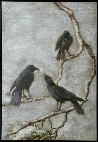 Birds Perched on Winter Branches: a pair