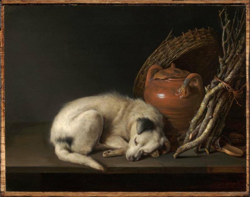 Dog at Rest