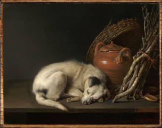 Dog at Rest