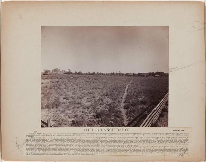 Cotton Ranch Dairy, Kern Co., CA