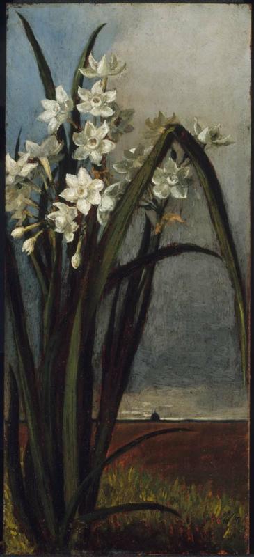 Narcissus on the Campagna