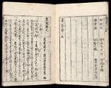Volume I, Page 6