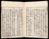 Volume I, Page 7