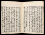 Volume I, Page 10