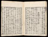 Volume I, Page 12