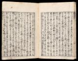 Volume I, Page 13
