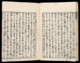 Volume I, Page 14