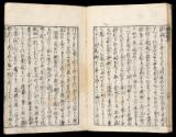 Volume I, Page 17