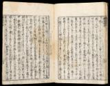 Volume I, Page 18