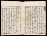 Volume I, Page 20