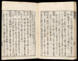 Volume I, Page 21