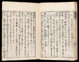 Volume I, Page 22