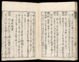 Volume I, Page 24