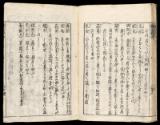 Volume I, Page 25