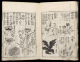 Volume II, Page 14