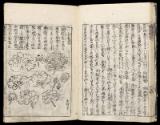 Volume II, Page 20